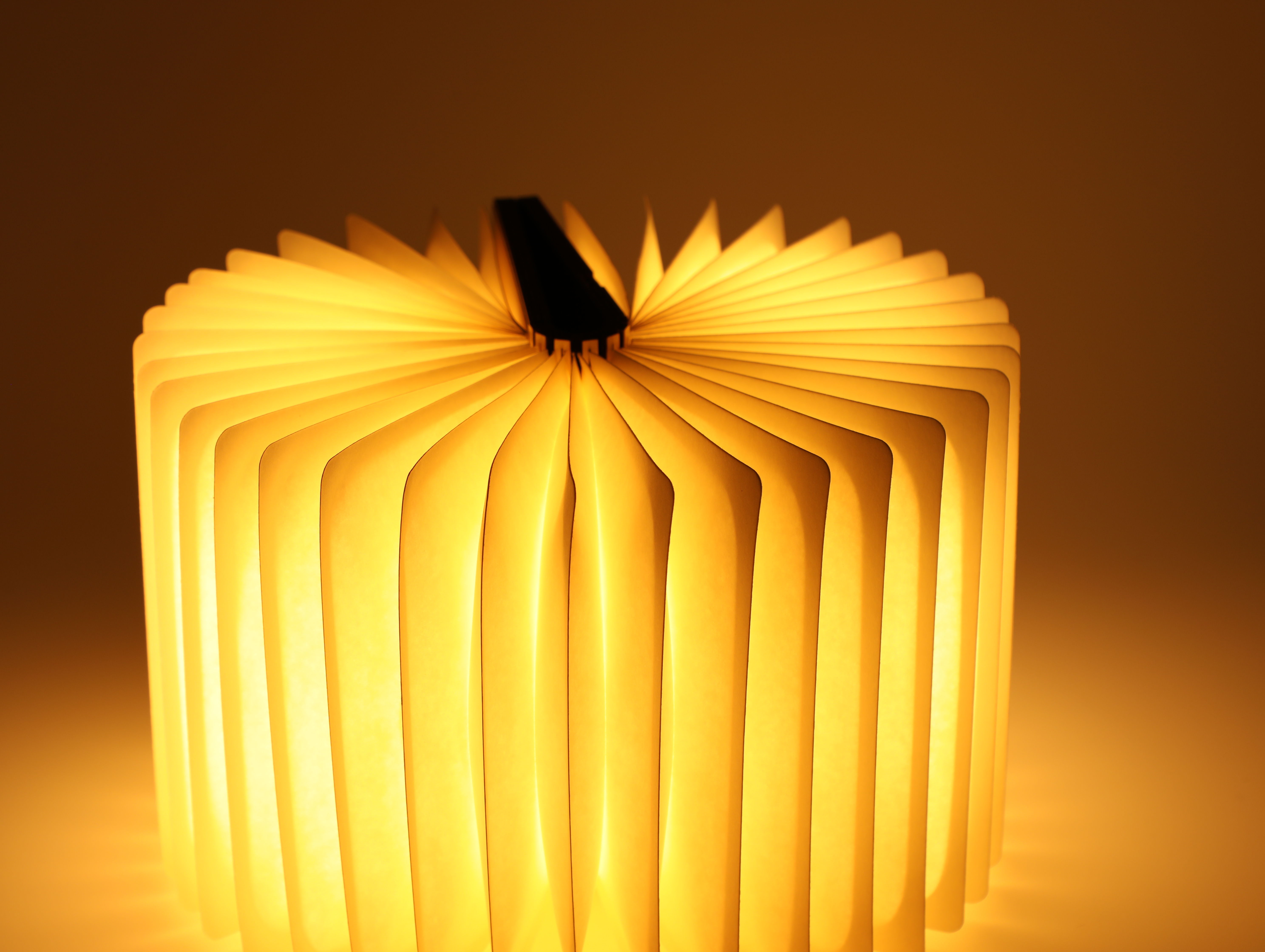 LIght